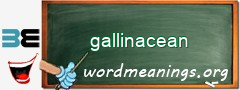 WordMeaning blackboard for gallinacean